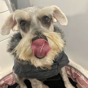 Meet your Posher, Jane